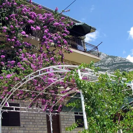 Iva With Sea View 公寓 *